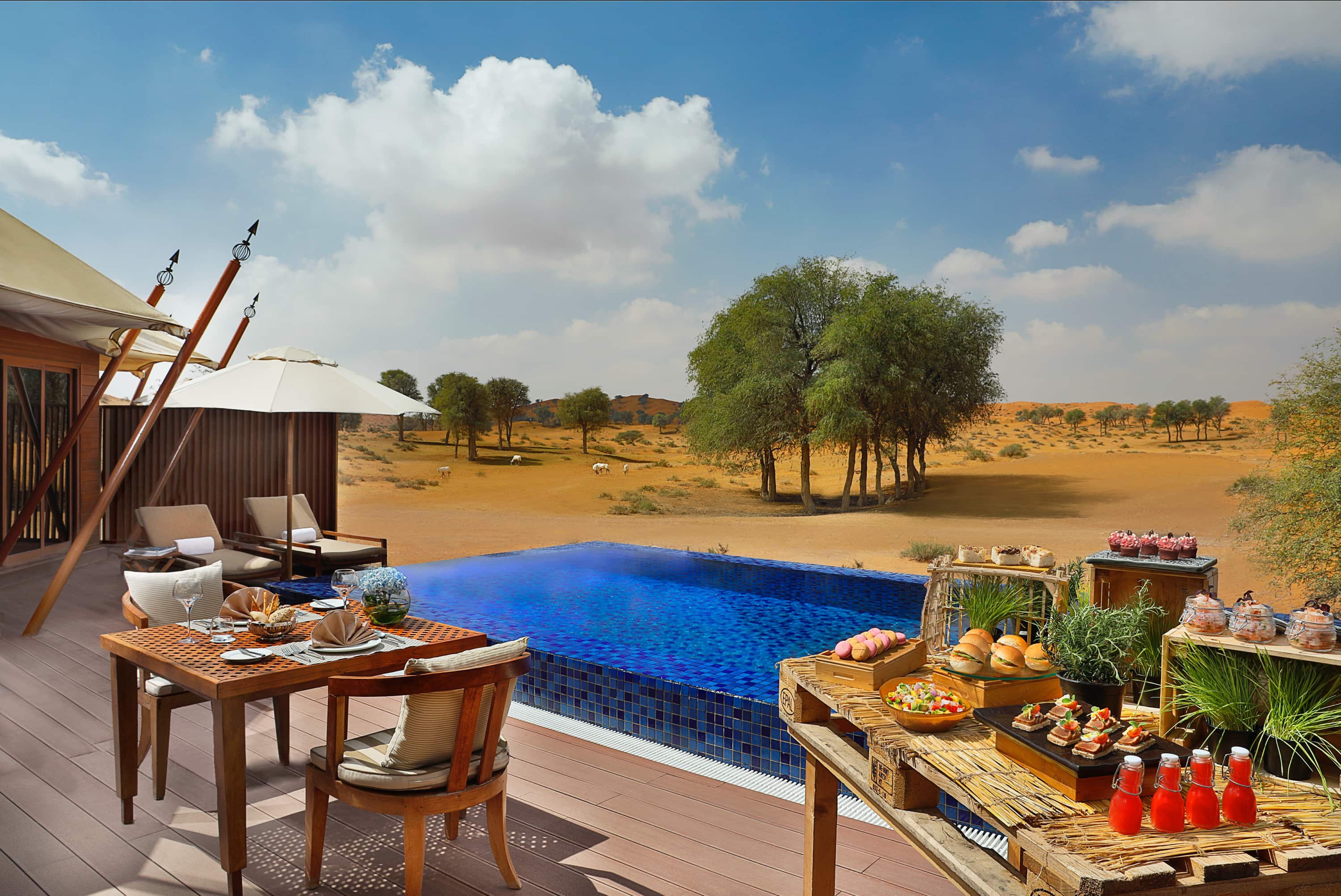 The Ritz-Carlton Residences Al Wadi, a development in Siniya Island, Dubai